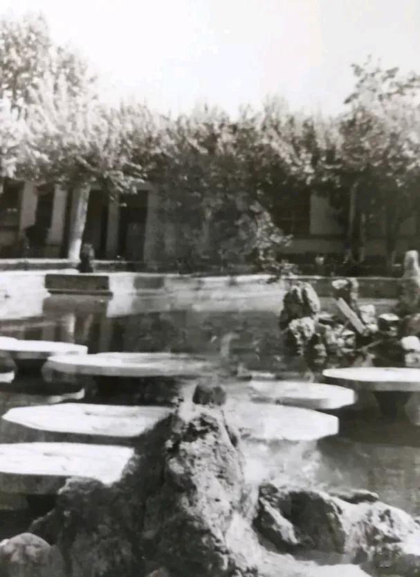 八十年代在武昌工人文化宫看电影，是我的童年，是你的童年吗？