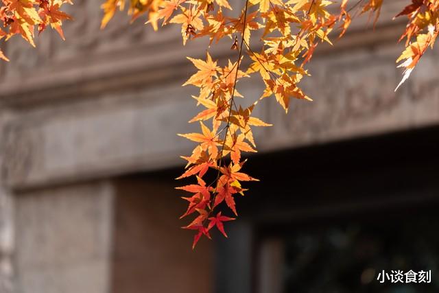 “早立秋扇子丢，晚立秋热不休”，下周三立秋，是啥秋？有啥预兆