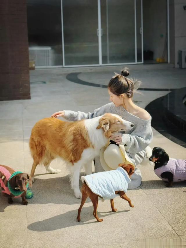 赵露思的指氧夹戴反了,她边生病边拍vlog,她换了发色做了美甲!