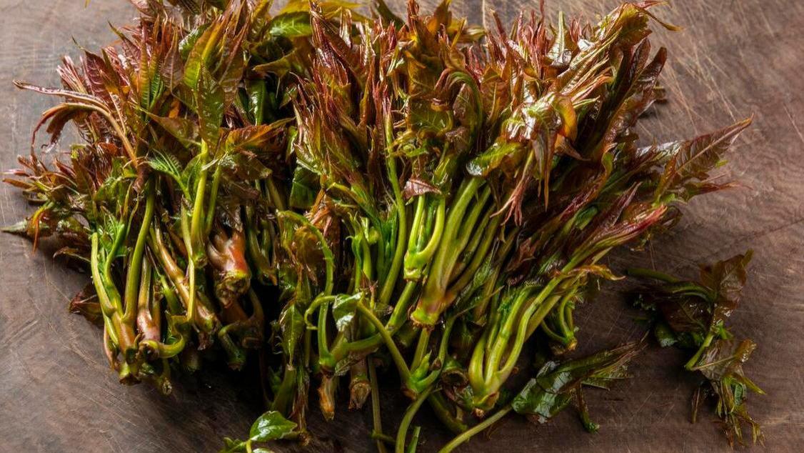 腌香椿时，最忌直接放盐，记住“多做1步，多加1样”，放一年不坏