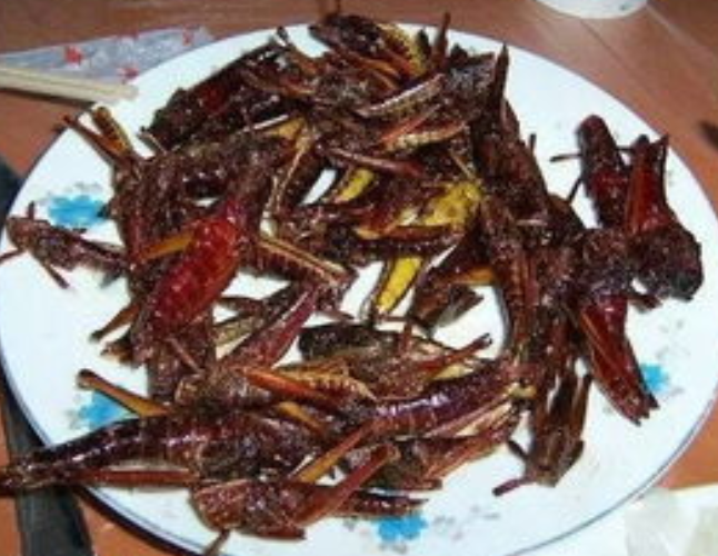 天津有名的“5大怪菜”,当地人特别喜欢,外地人却无从下嘴