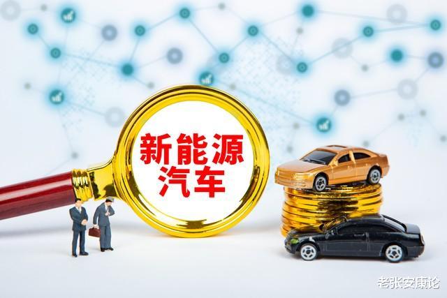 专家：我从不买国产车，国有的一定是差的！