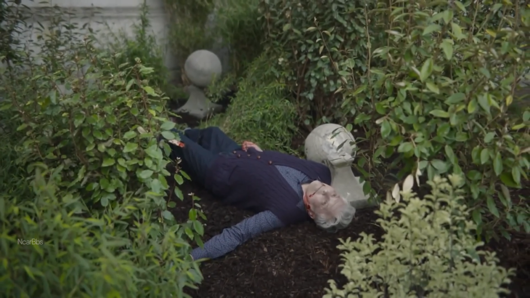 一集爆,短小精悍,6集根本不够看