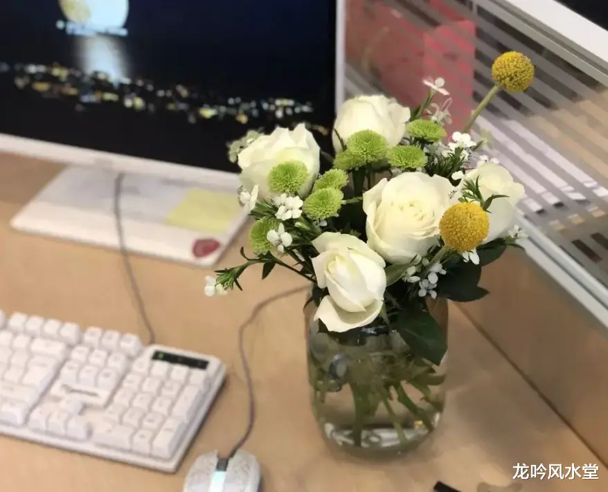 龙吟师傅：办公室里不同方位摆放的花朵颜色
