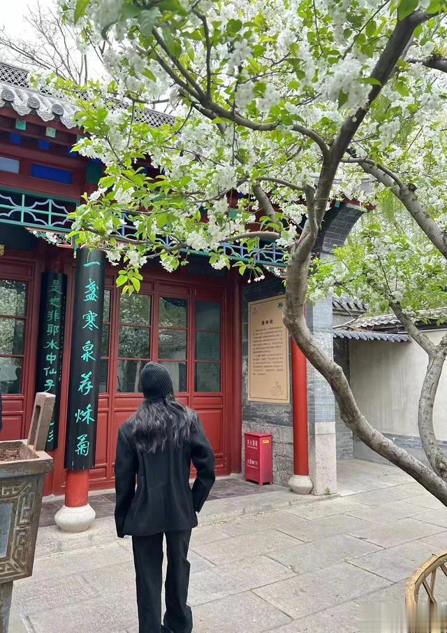 4.28娱乐瓜\uD83C\uDF49:肖战杨紫王一博赵露思龚俊李现