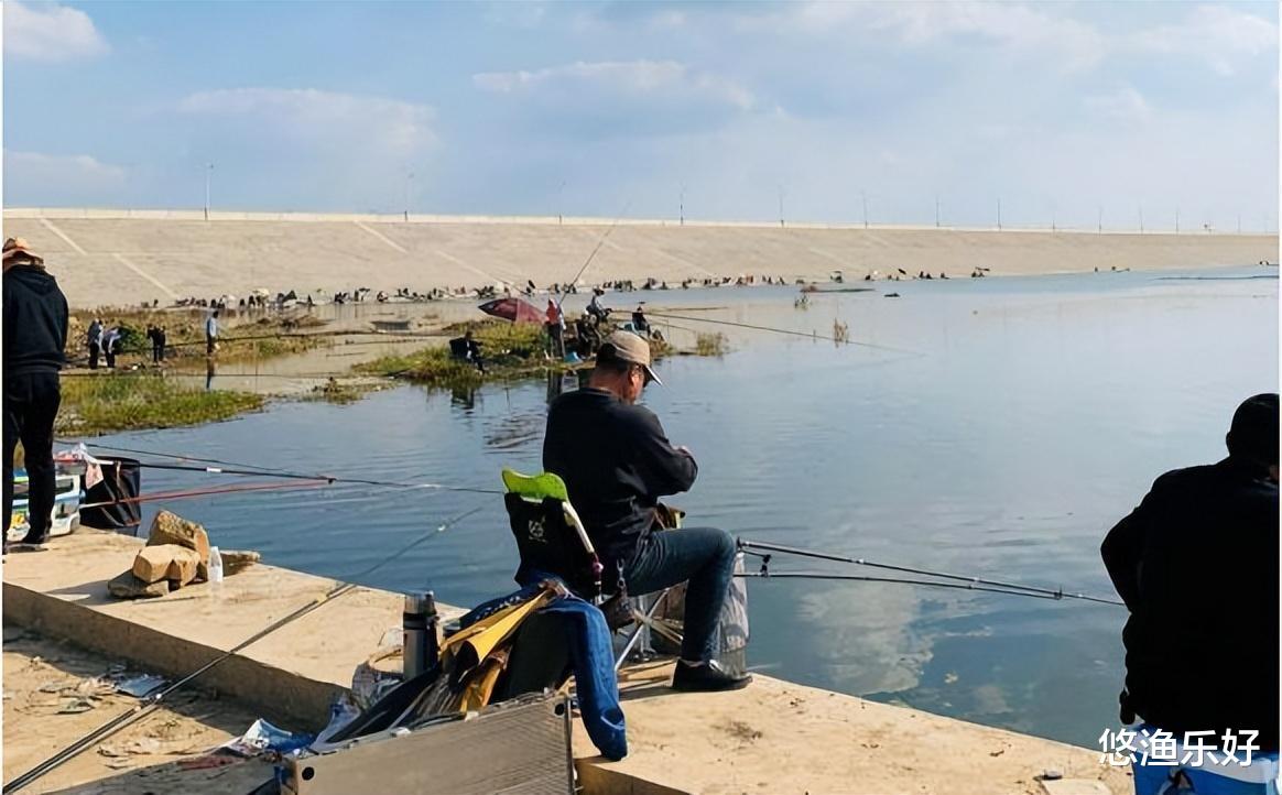 数百斤放生鱼涌入水域，钓友们的狂欢还是噩梦？谈谈我的看法