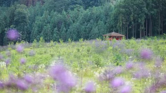 曾经的“三陪”小姐，她们消失在哪里去了？