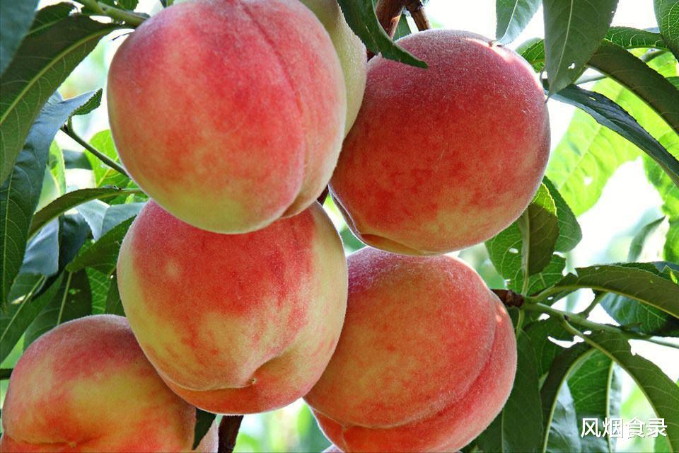 北漂10年,说句良心话,这10种特产值得买!好吃好看,送礼不丢面