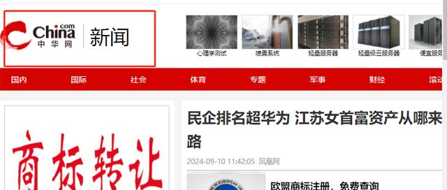 年入8177亿!超越华为成为国内最大民企,江苏女首富哪来那么多钱