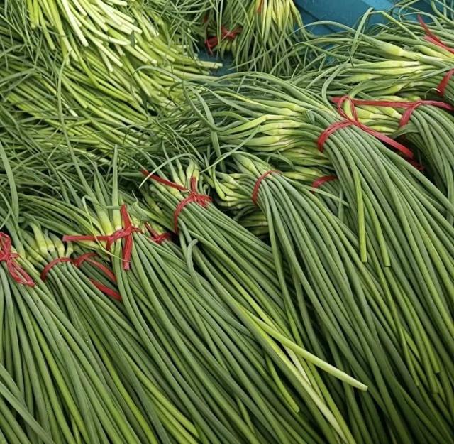 春天买蒜苔,要分清“白帽”和“红帽”,区别很大,弄懂再买!