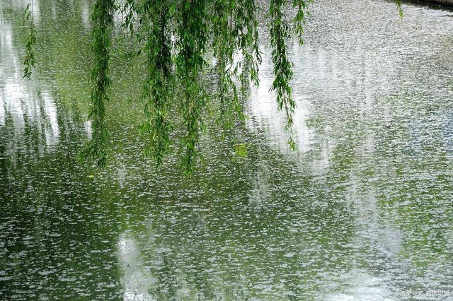 关于选钓位的理论，有很多矛盾的地方，老钓手不说你永远弄不明白