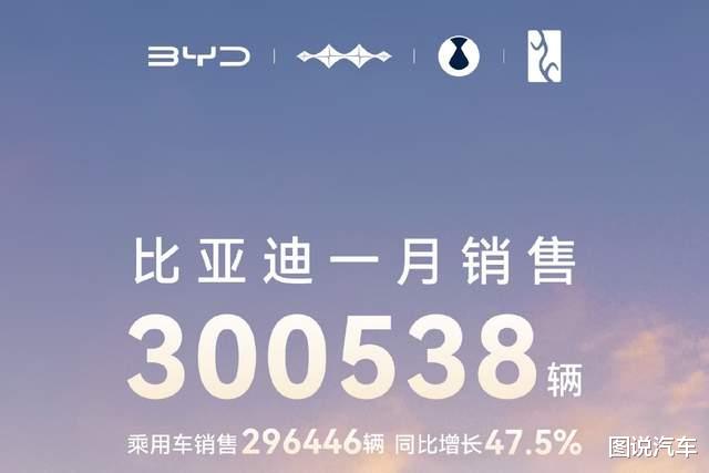 中国销冠：比亚迪1月销量破30万辆，11款车型销量破万