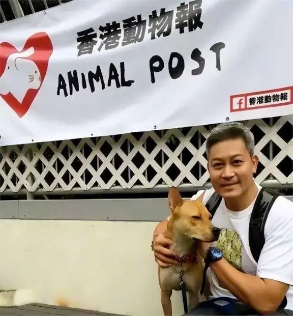 古天乐成遗产继承人,TVB男星曾伟权去逝,一生未婚称愧对前任