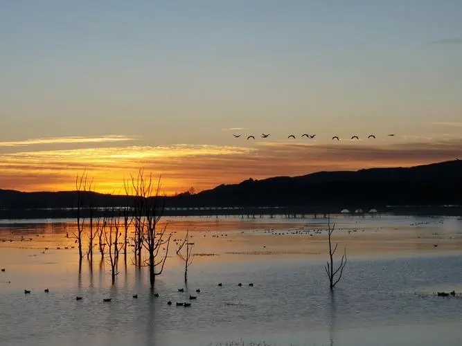 35+的人生抉择:是追求工作,还是拥抱自由?