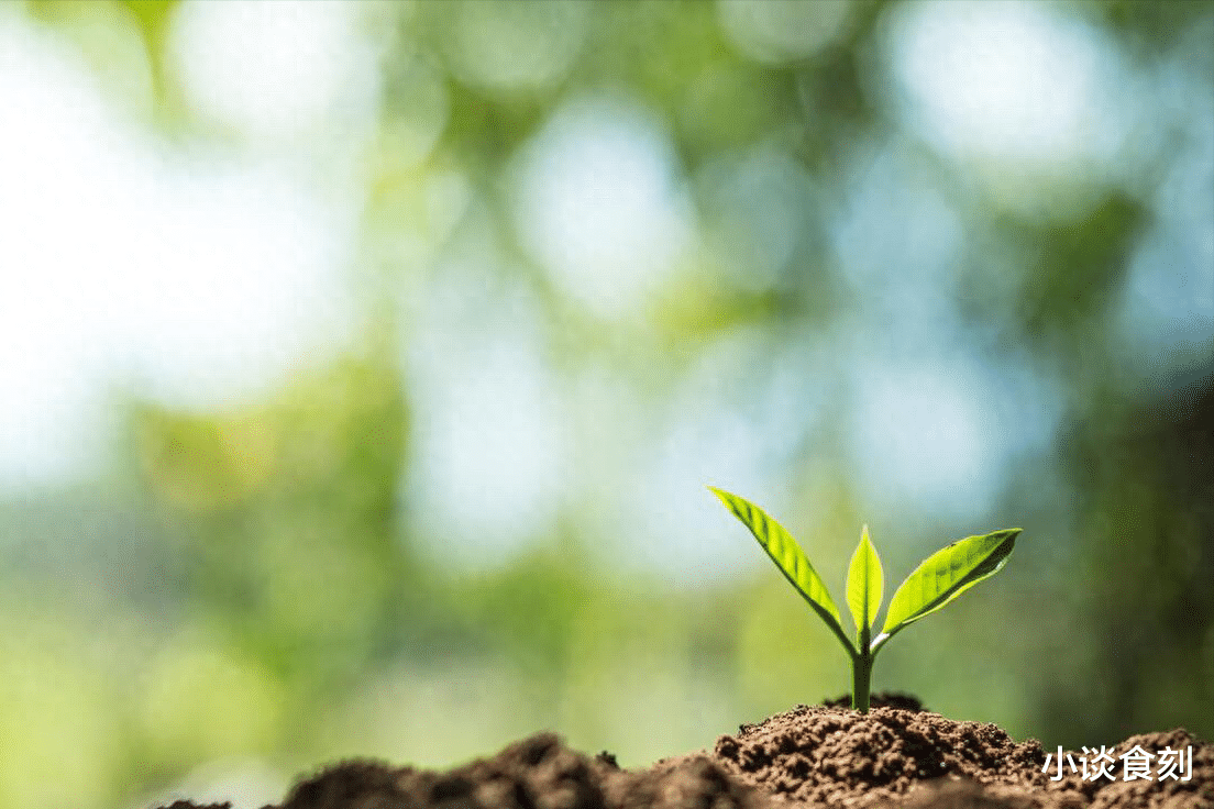 “初二三不出,到头一场空”,明日三月初二哪“3不出”?了解下