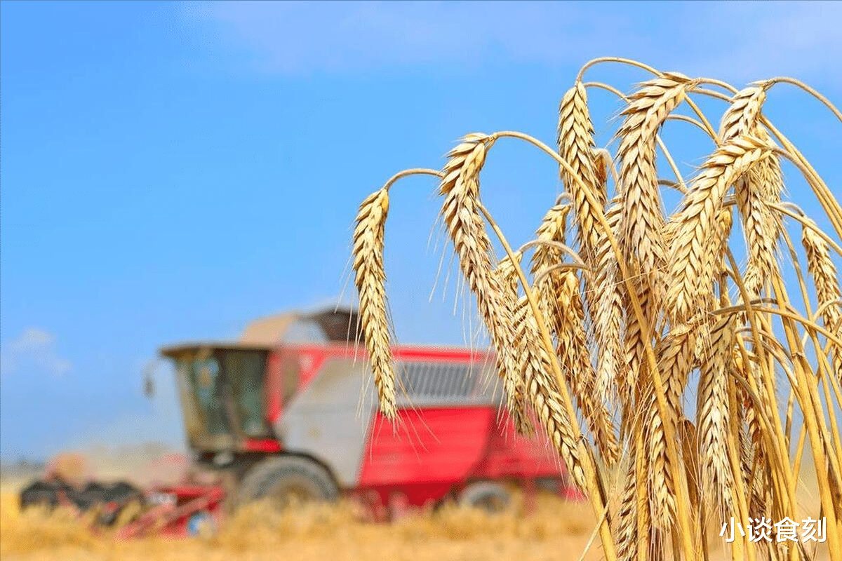 蛇年遇双春有何预兆,为啥说:巳蛇逢双春,田禾堆满仓?有啥讲究