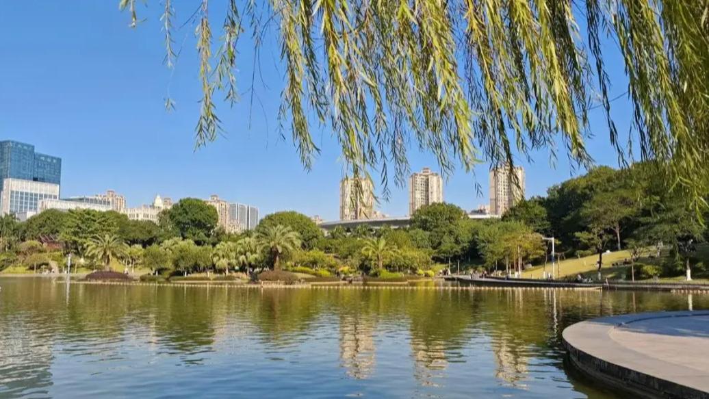 2499元买的红米K80，使用了半个月，这些优缺点不吐不快