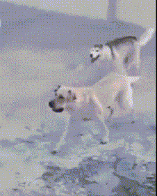 “无意中在女同事车上发现的，这是用来干嘛的？”网友们内涵了！