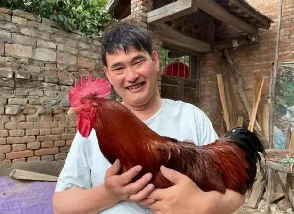 山东网红曝光朱小伟:又呆又傻,如果爸爸不是朱之文,肯定打光棍