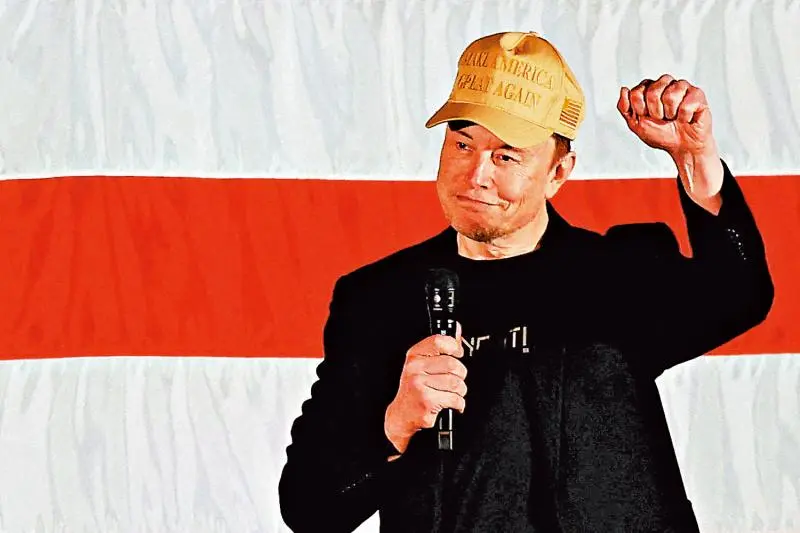 马斯克发钱,哈里斯造假,两周后有个大机会