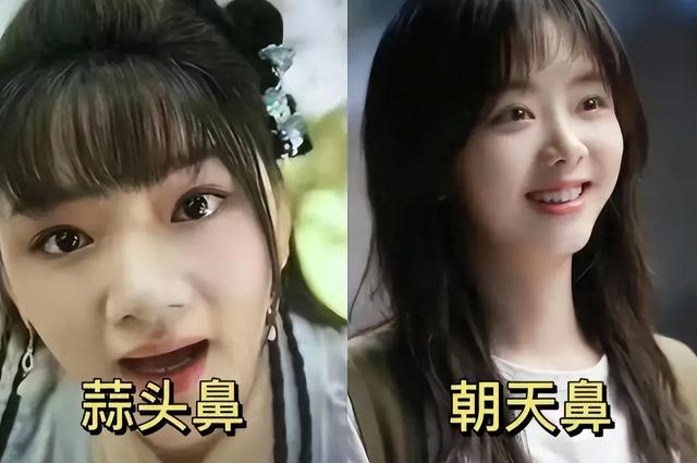 自古“塌鼻子”出美人!这5位女星个个惊艳,第4位曾靠鼻子美出圈