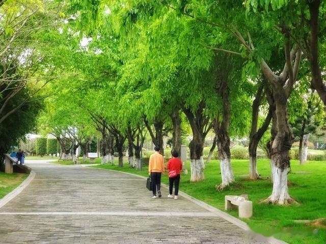 退休后，最好的“养寿”方式不是旅游、运动，而是把握好这4点