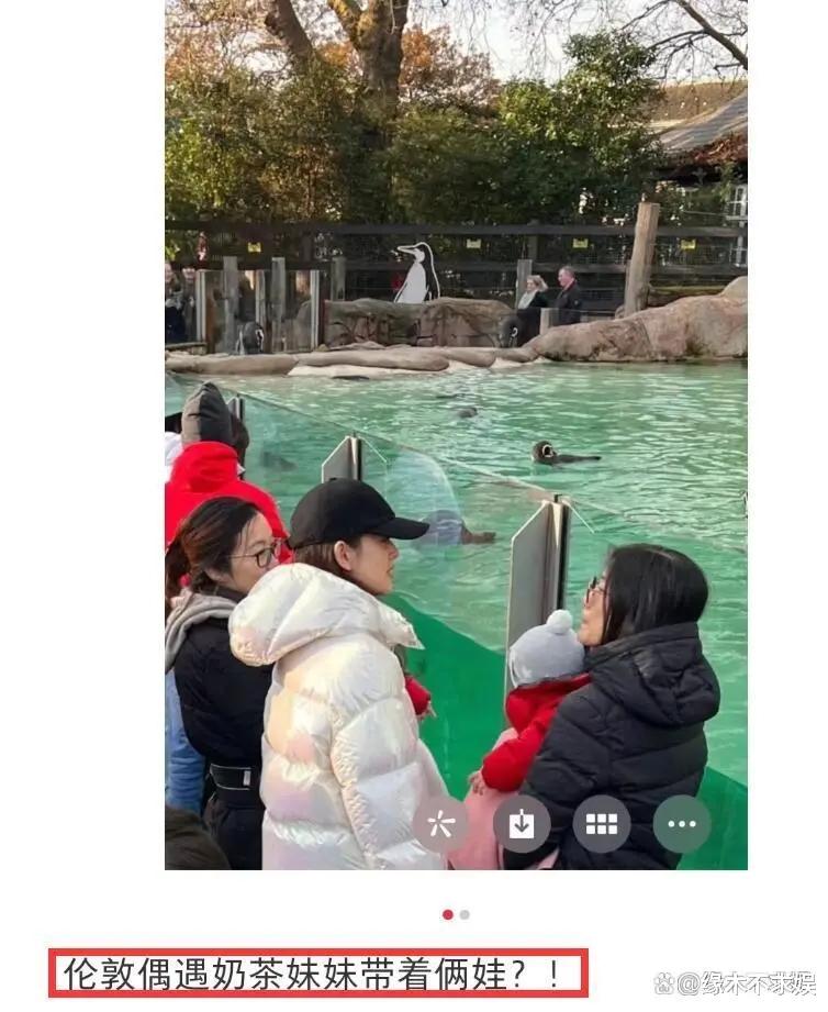 30岁章泽天出席科学晚宴,一身平价被嘲老气横秋,发言通篇语病!