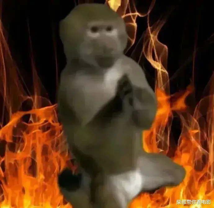 菜鸡互啄?彻底摆烂?国庆档片单公布,网友:这都啥?没眼看!