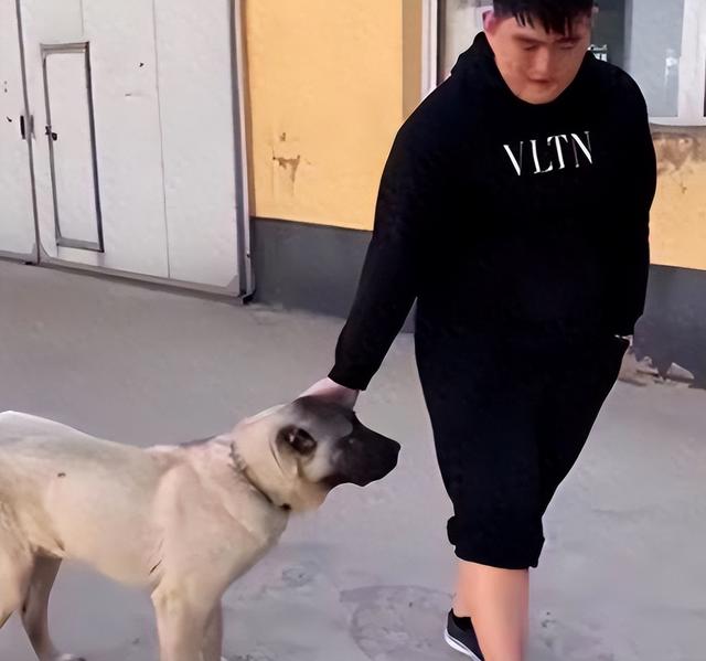 星二代赵一楠:让亲生父亲赵本山颜面尽失,却扬言:他不够了解我