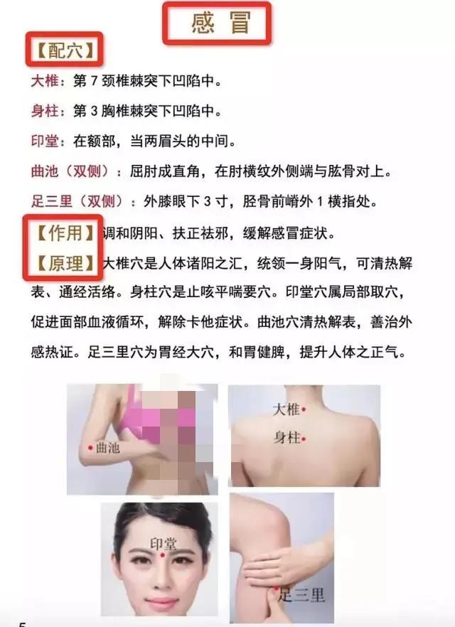 相当全的穴位图【使用方法】