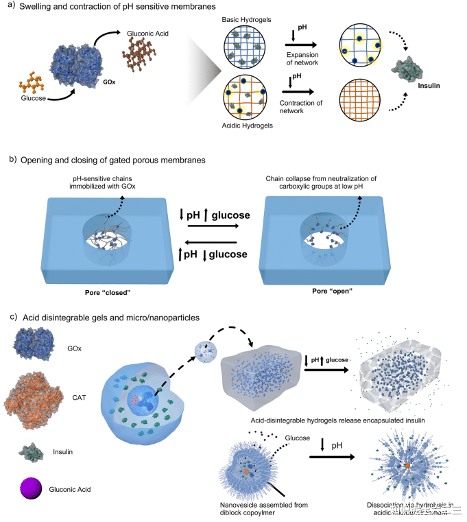 水凝膠微型機(jī)器人，材料多樣性能優(yōu)