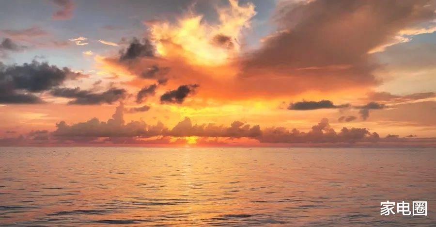 家电消费异动:美的海尔海信TCL领涨,康佳老板极米科沃斯落后