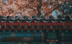 我是将军养子，却立下战功继承爵位，被休了的驸马兄长嫉妒我，拉我同归于尽，重生归来，兄长竟让我当驸马…