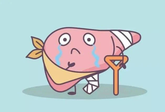 疏肝只是应急,养血才是根本!中医说,肝里藏有血就是长寿健康体质