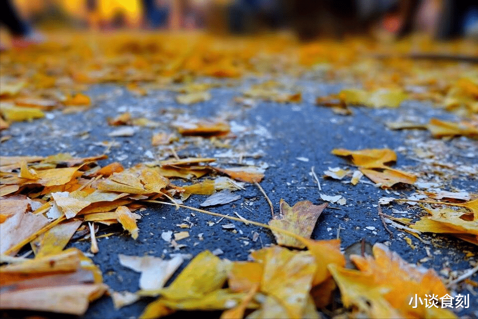 今年出伏之后为啥还这么热?还要热多长时间?什么时候变凉快?