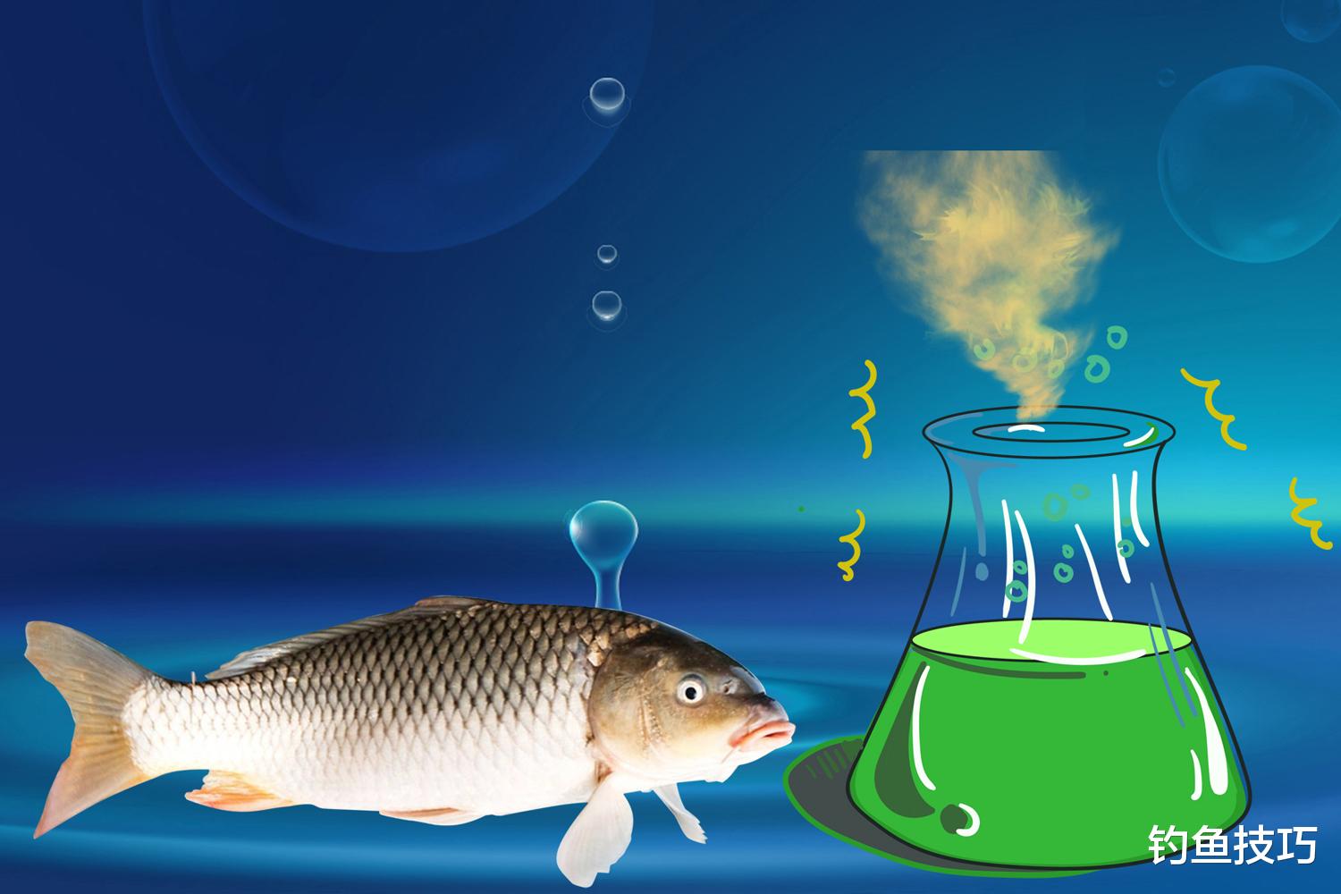 滑口鲤鱼的5个觅食特点,钓滑口鲤鱼的关键