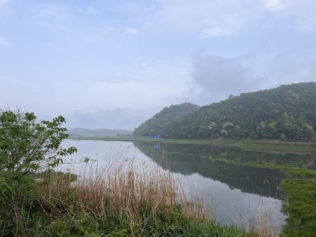 在野外怎么找到鱼道 鱼窝 选择水深浅 是常爆护的老钓鱼人不说的秘密