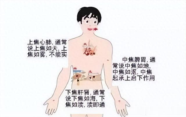 “天精、地精、人精”三者合一，脾肾肺统调，通补三焦