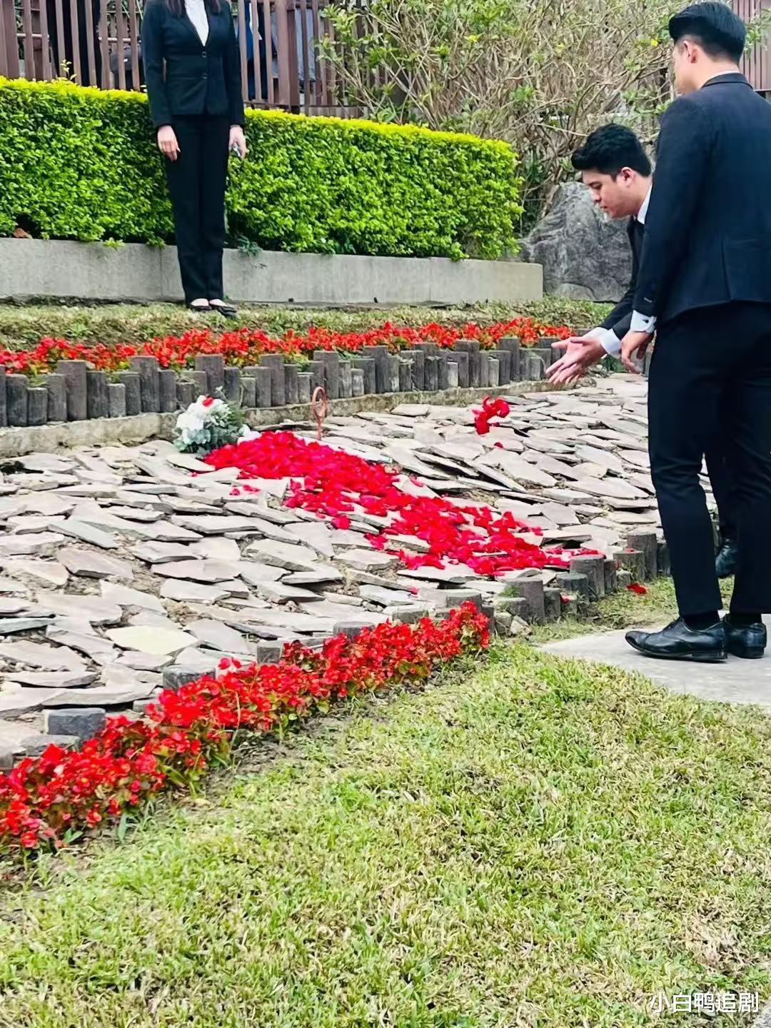 琼瑶墓地近况!周围摆满圣诞鲜花,大批粉丝围观,周杰发文引热议