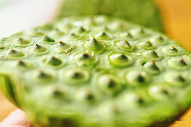 “秋吃果，药不抓”！立秋后，多吃这5样“秋果”，安稳过秋天