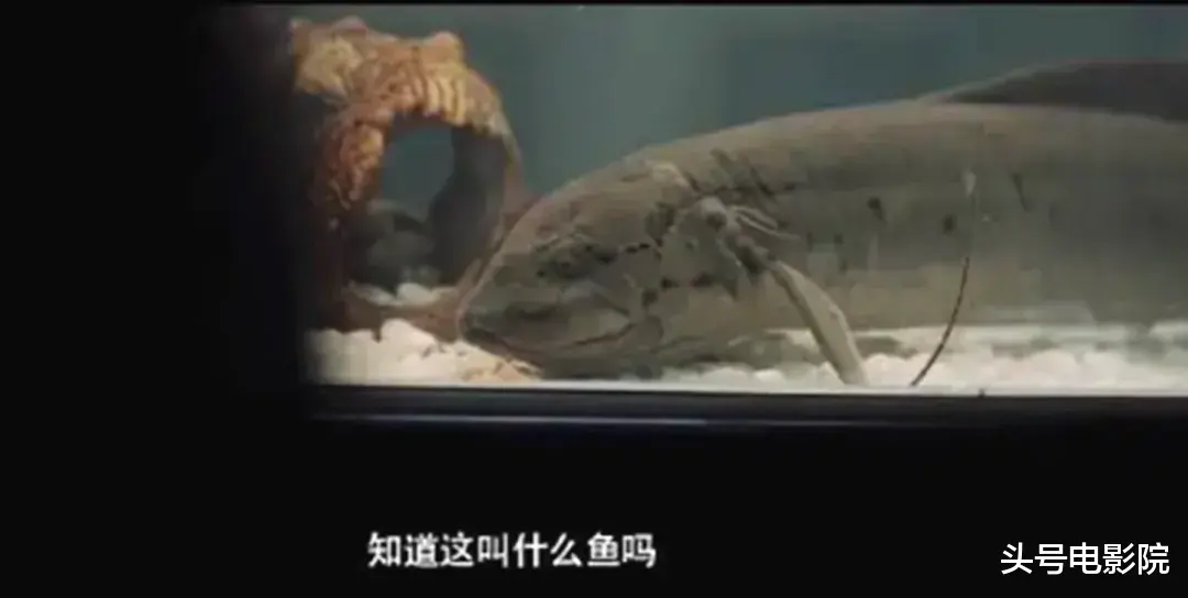 潘粤明官宣《白夜追凶2》,发神秘海报!5大悬念待解,揭幕后黑手