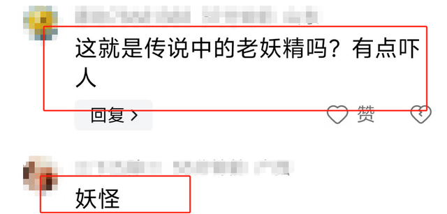 看了69岁林青霞和73岁刘晓庆的近照,才发现:绝色和漂亮的区别