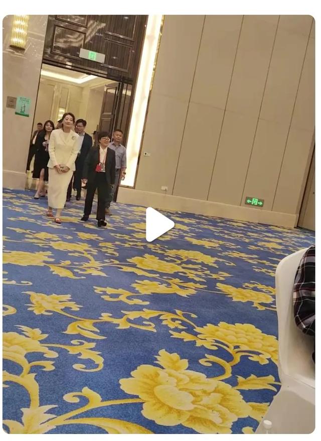 哇哈哈集团大会,宗馥莉乱发红鞋,网友:忙的连头发都顾不上打理