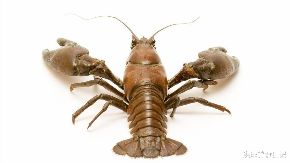 东北人最爱的5大“怪菜”,好多人不敢尝试,你都吃哪种?