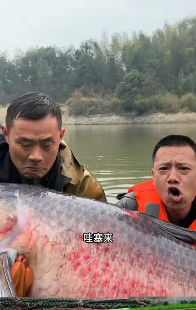 为什么禁渔期也允许一人一竿钓？笑死了，这是对钓鱼佬最大的恶意