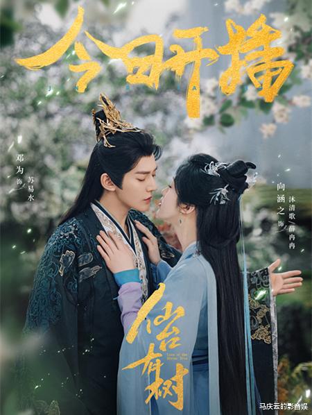 《仙台有树》首播，清一色差评，观众审美提高，玄幻剧快没市场了