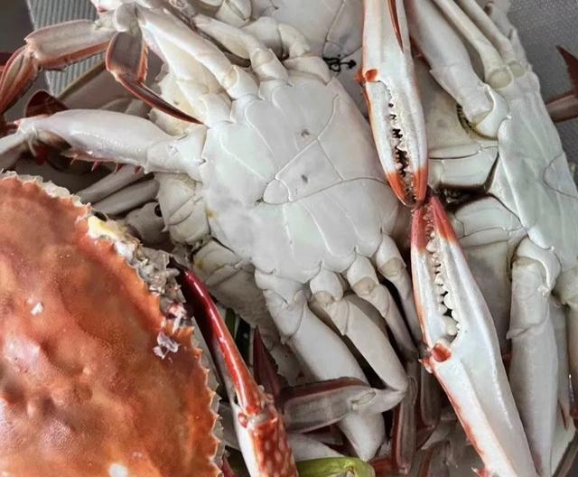 蒸螃蟹:“仰着”蒸,还是“趴着”蒸?很多人做错,难怪掉腿流黄