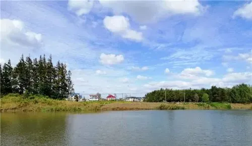 六月高温天鱼都藏哪了?分享此时的钓鱼技巧,让你满载而归!