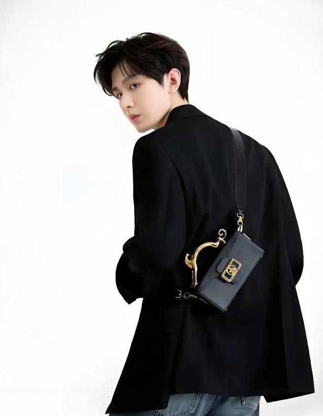 内娱最具商业价值男星,胡歌登顶,任嘉伦7成毅5王一博第3肖战第2