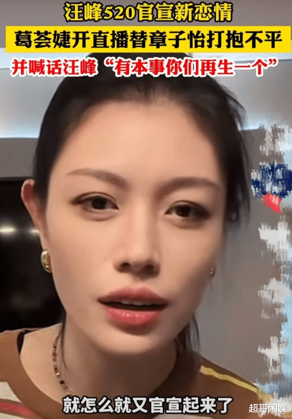 葛荟婕声援章子怡炮轰汪峰：你还能再生吗？森林北凌晨5点回应！